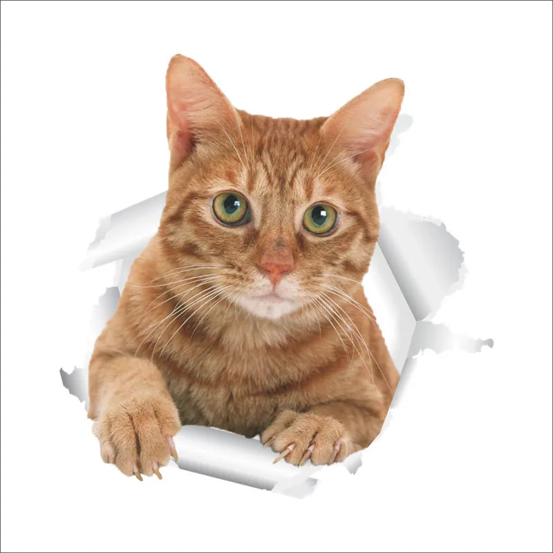 3d vivid broken Cat Toilet Door Refrigerator kitchen toilet Wall Stickers Decals Door Home Decor Poster Mural